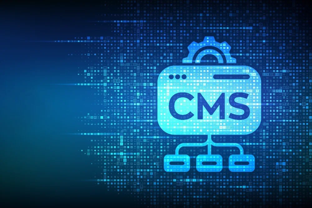 Enterprise CMS solutions for large-scale businesses