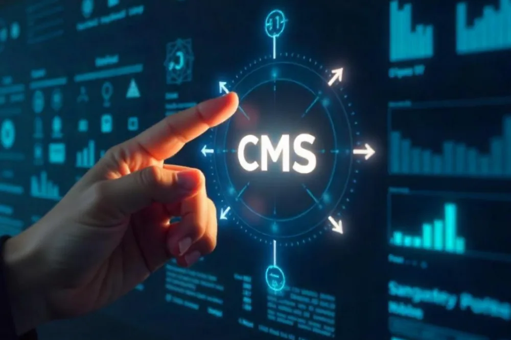 eCommerce websites enabling product catalog management and secure payments